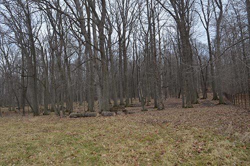 Property photo 11 - REAL ESTATE & FARM EQUIPMENT AUCTION IN ALLEN COUNTY, INDIANA